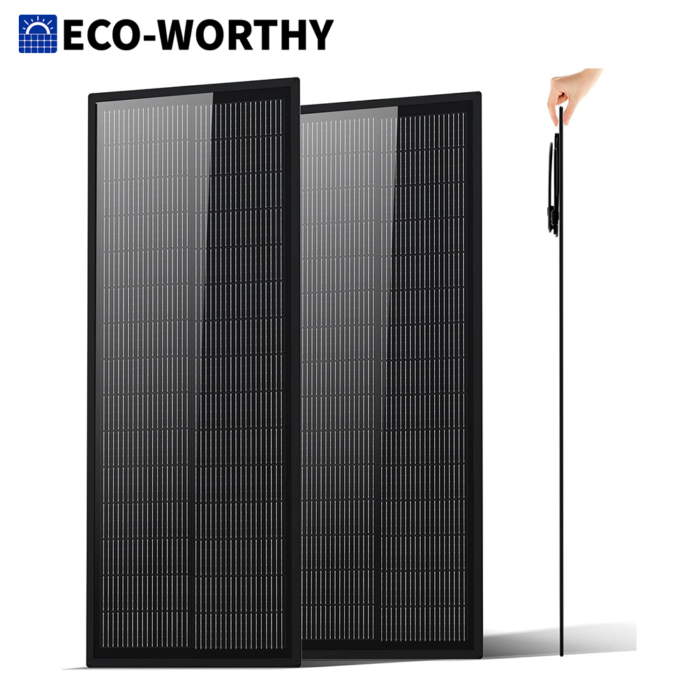 ECO-WORTHY Ultra Slim 2PCS 100 - đánh giá và giá Solar Panel 200W